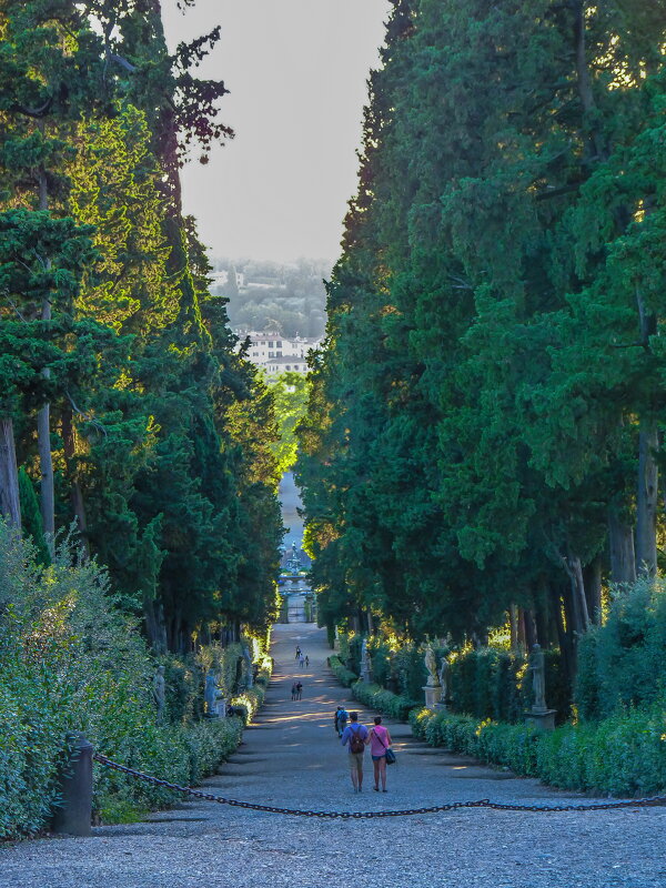 Сады Боболи /Giardino di Boboli Парковая перспектива - Наталья Rosenwasser Сады Боболи /Giardino di Boboli Парковая перспектива - Наталья Rosenwasser