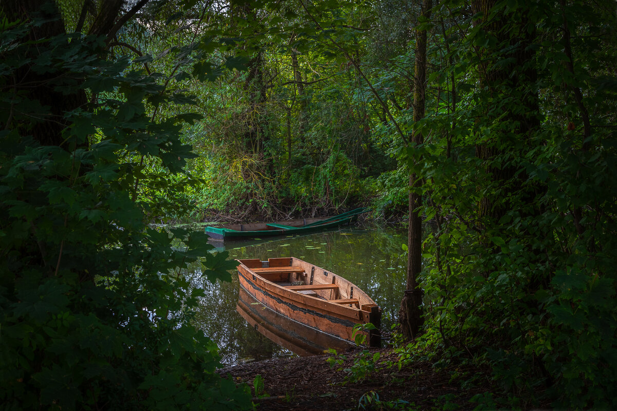 **** - Елизавета .