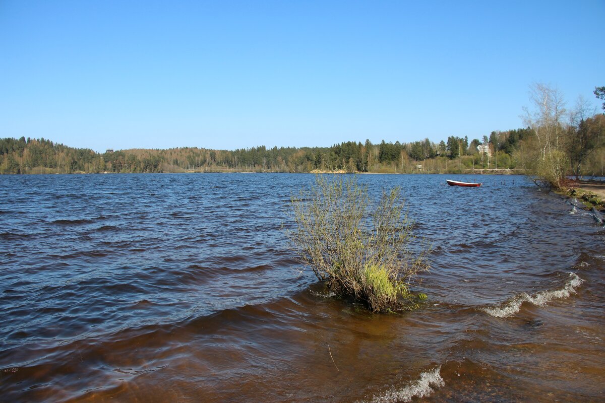 Токсово - Наталья Герасимова
