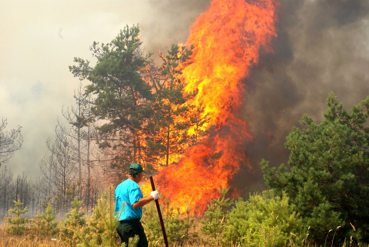 Природный пожар - Андрей Л. В.