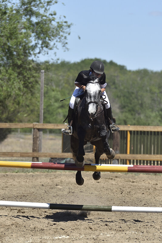 И лошадки умеют летать! - Александр Гриднев И лошадки умеют летать! - Александр Гриднев