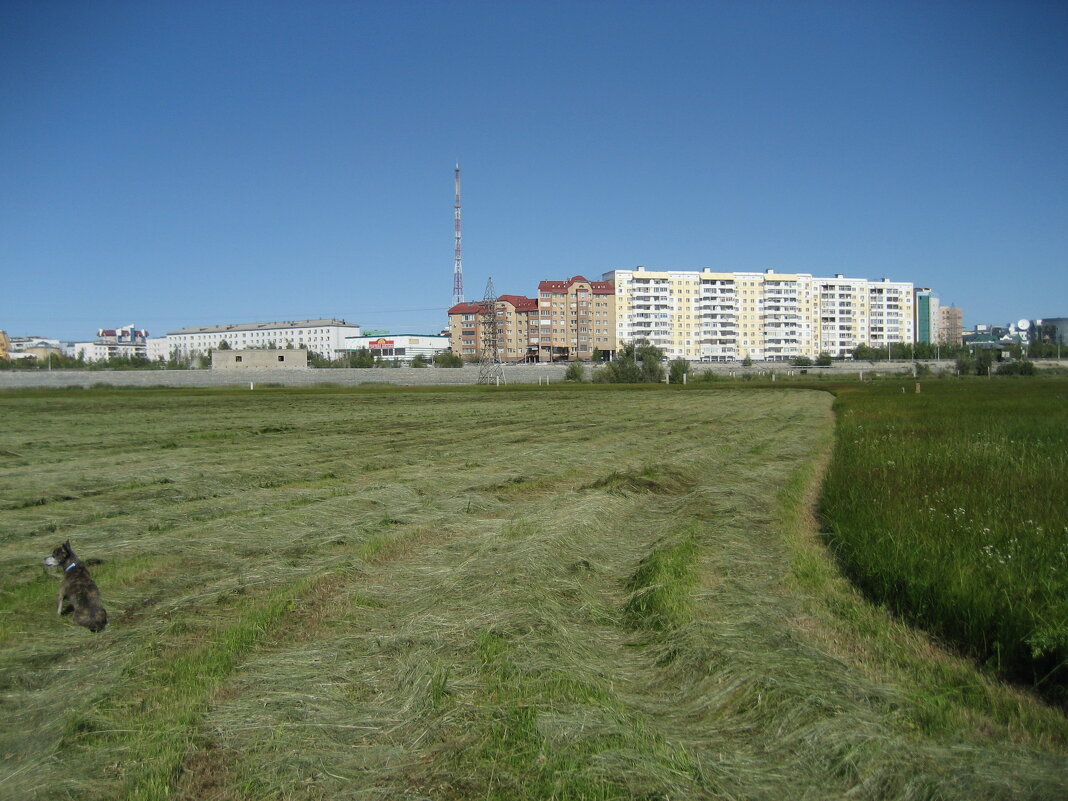 Покос - Anna Ivanova Покос - Anna Ivanova