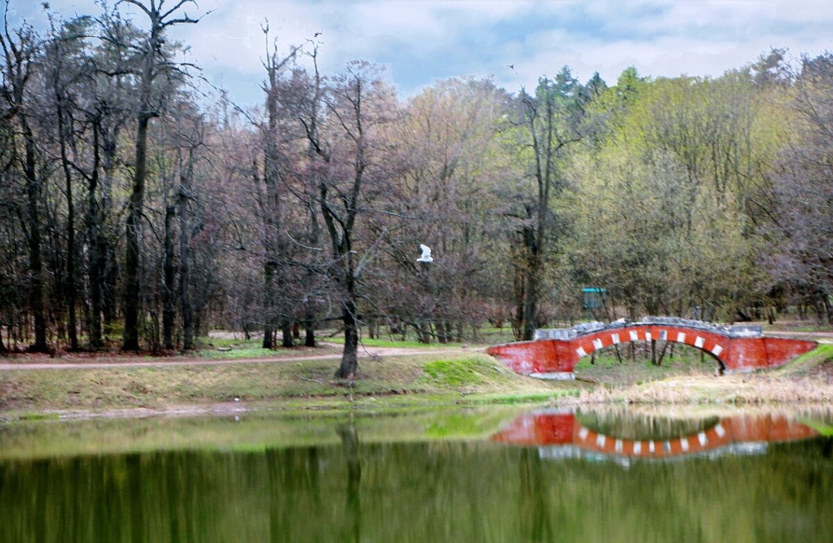 Парк Кузьминки - Тамара Вебер