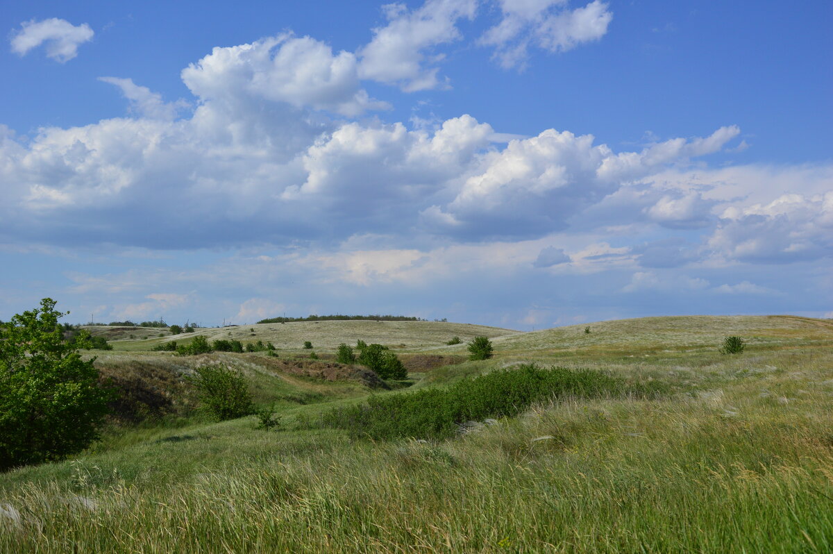 В степи. - Виктор 