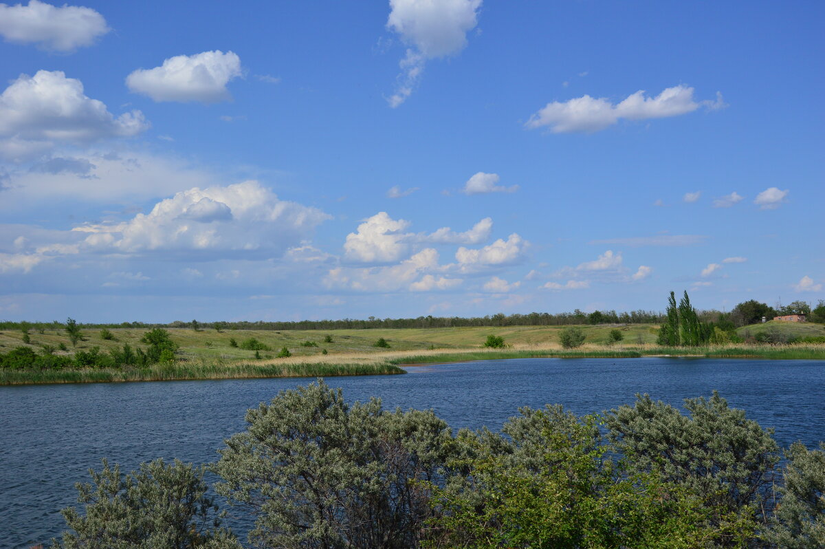 Пруд в степи. - Виктор Пруд в степи. - Виктор