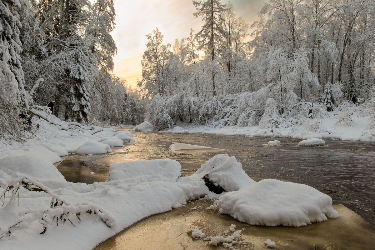 Линдуловская роща - skijumper Иванов