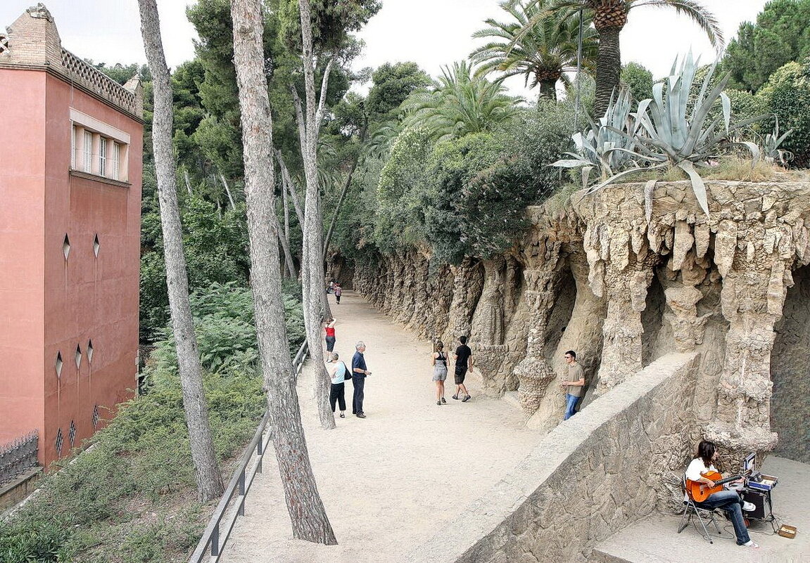 Птичьи гнёзда! - ZNatasha -