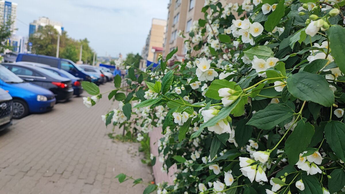 ,,, - Сергей Тимоновский