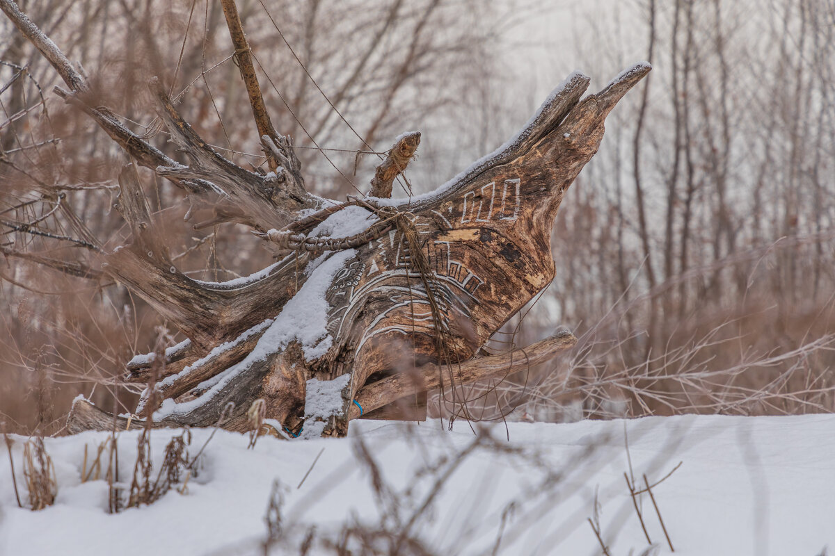 Шаман - Татьяна Гузева