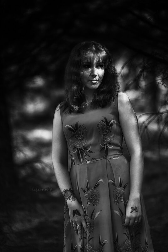 В тенях у леса - Джованни Луче