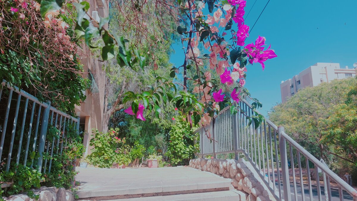 13  ОПЕН (98) - OPEN WAYS ALL