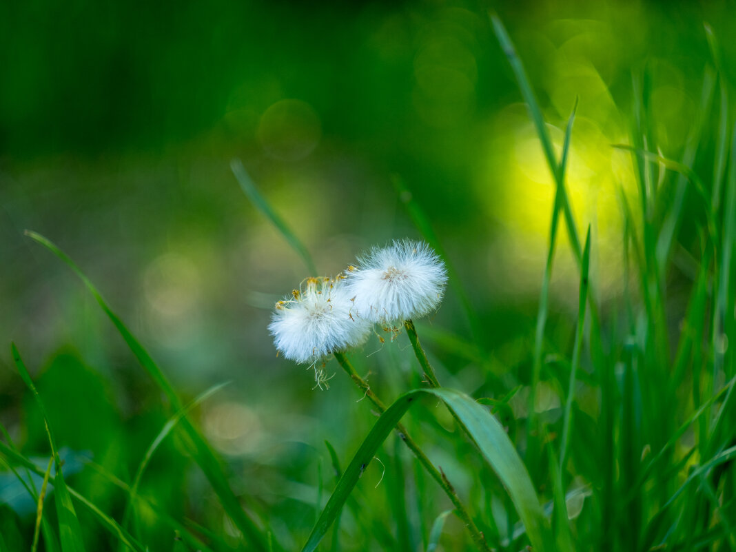 ___ - Yuriy V ___ - Yuriy V