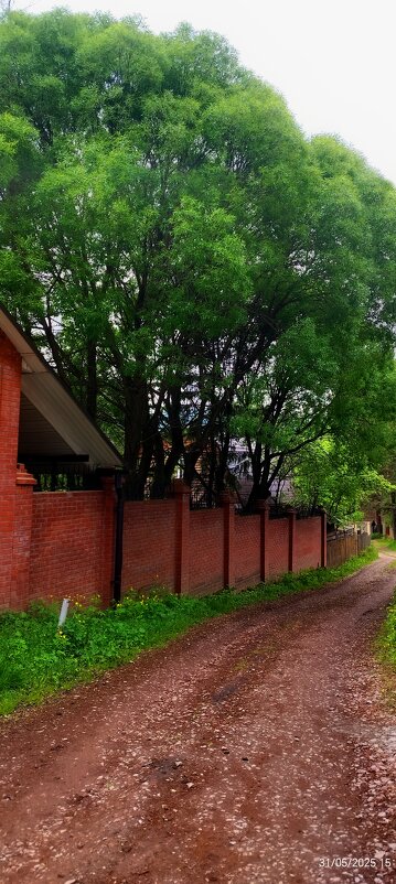 под зеленым панцирем - Алексей Ильичёв под зеленым панцирем - Алексей Ильичёв