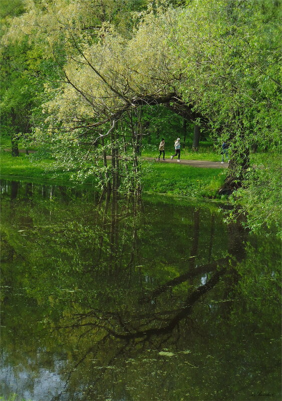 Чухонка-речка - sv.kaschuk 