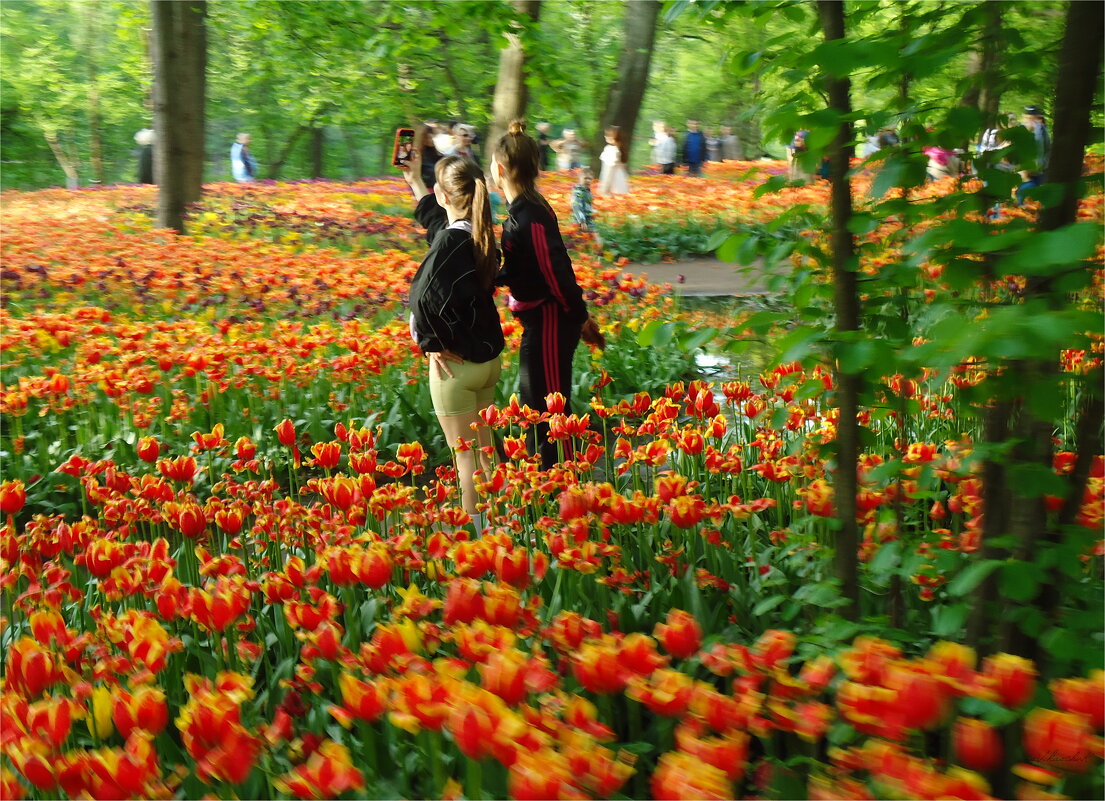 как Афродита из пены - sv.kaschuk 