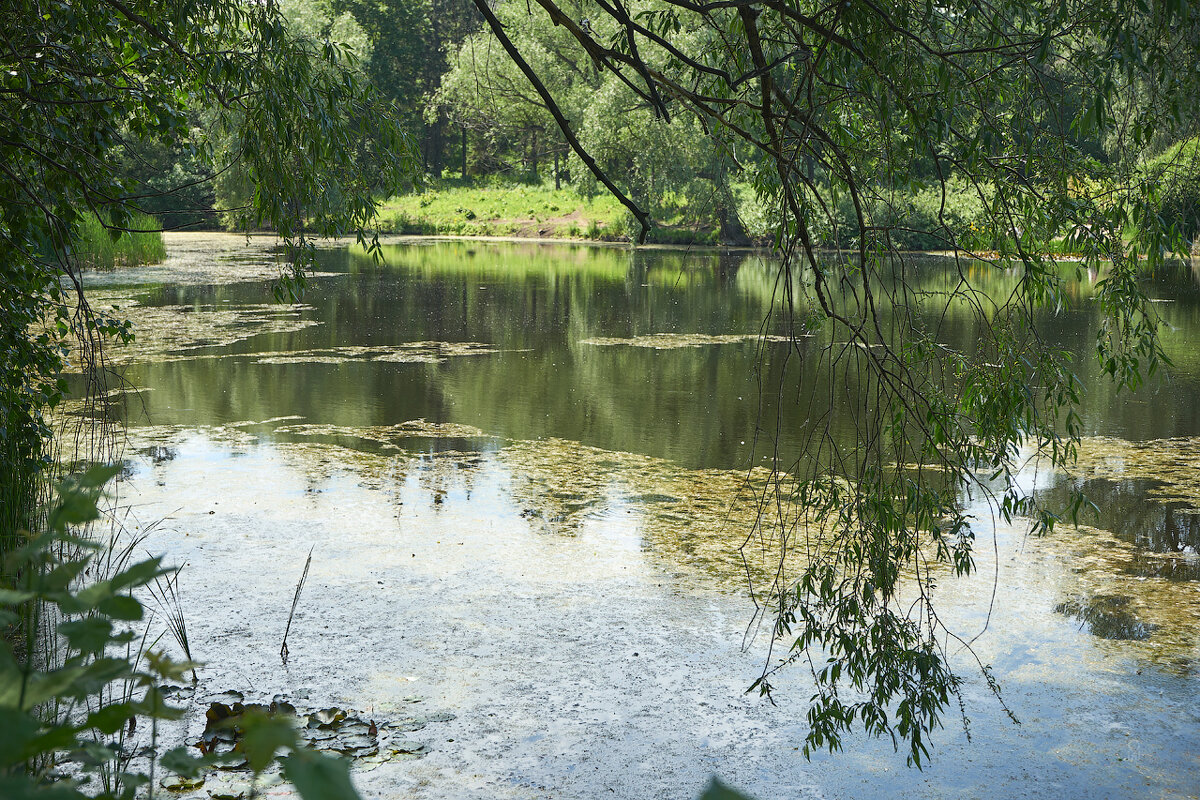 Ботанический сад 05 - Олег Манаенков Ботанический сад 05 - Олег Манаенков