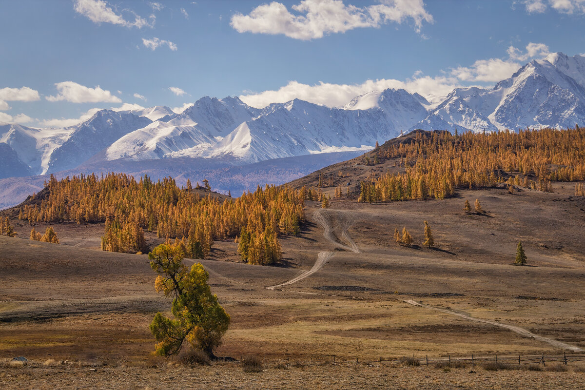 На окраине Курая. - Марина Юдинских На окраине Курая. - Марина Юдинских