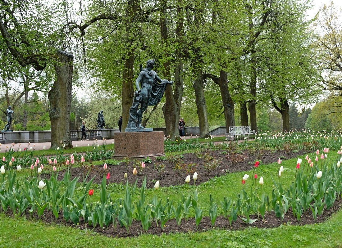 Время тюльпанов... - Алекс Б-в