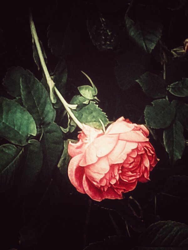 Тишина. - Валентина M