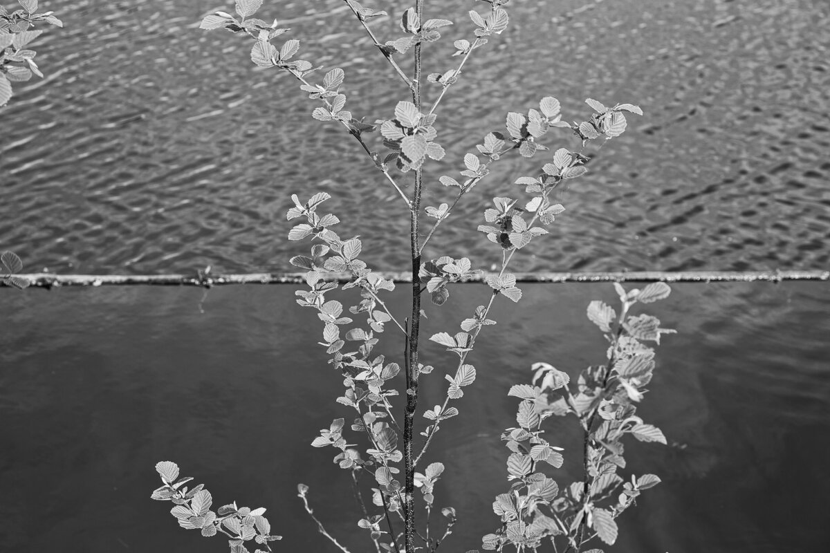 Назва. отсу. - Денис Безногов