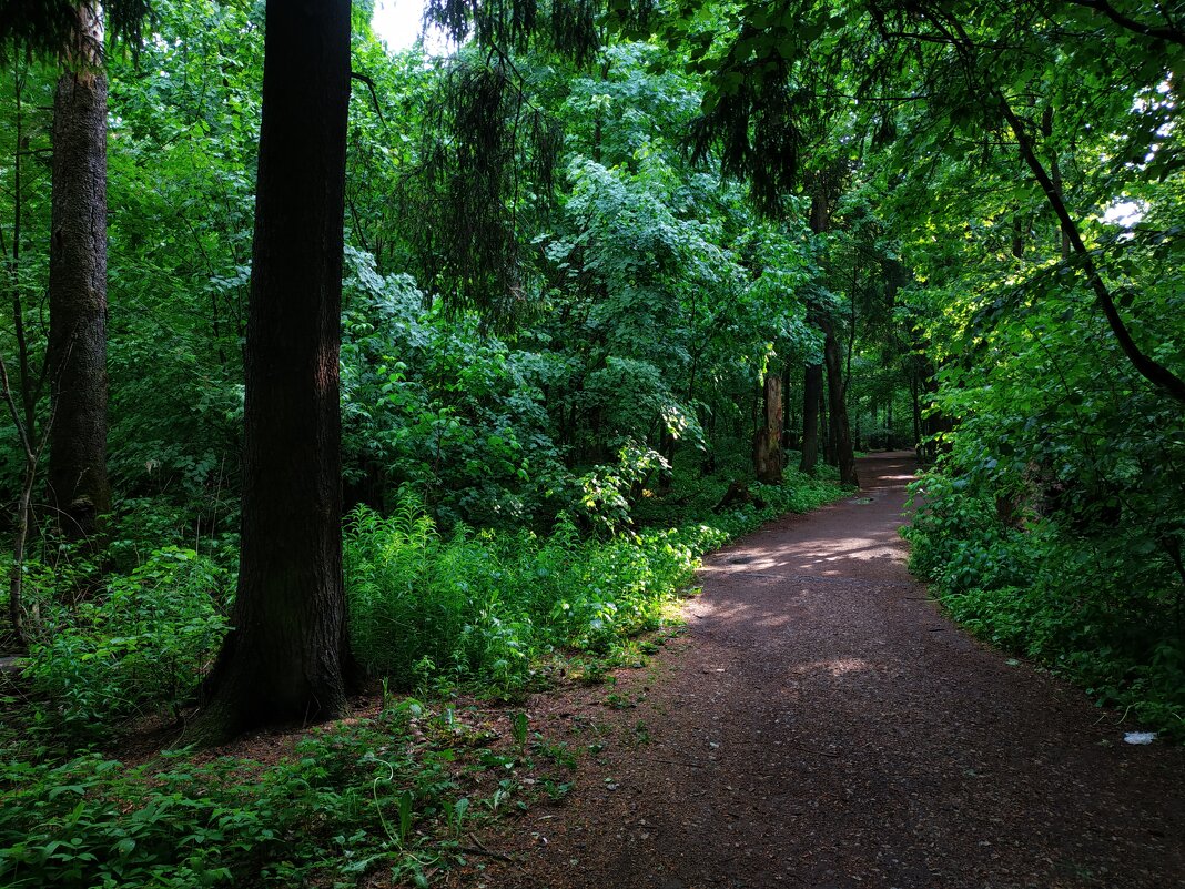 Отмаялись! - Андрей Лукьянов Отмаялись! - Андрей Лукьянов
