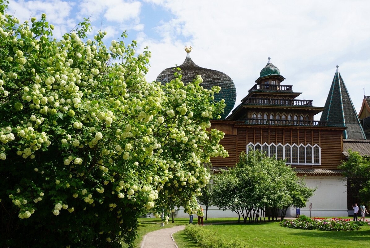 Весны цветение - Ольга 
