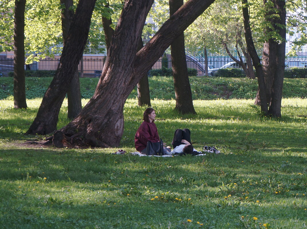 двое - zavitok * двое - zavitok *