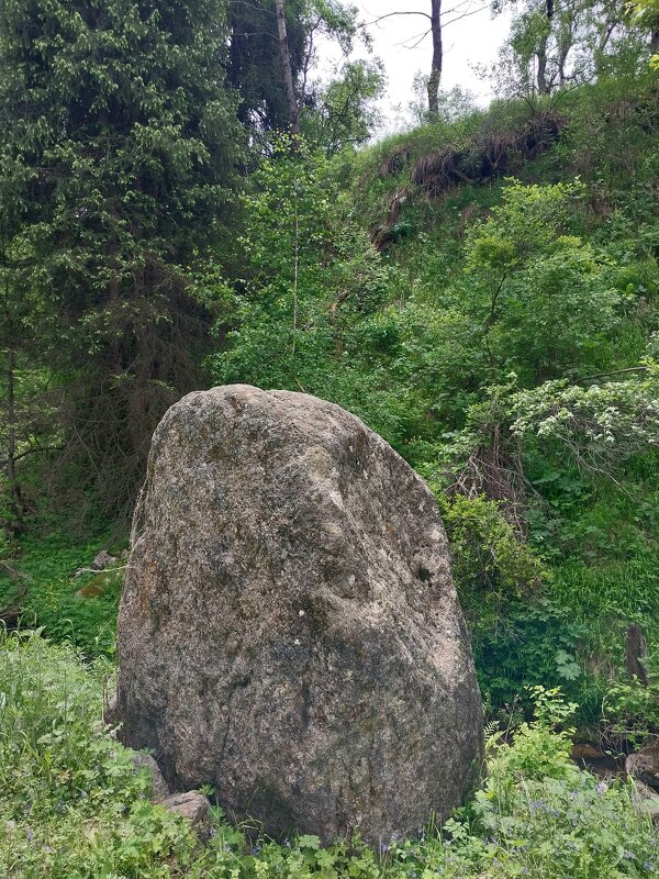 Talgar. - Murat Bukaev 