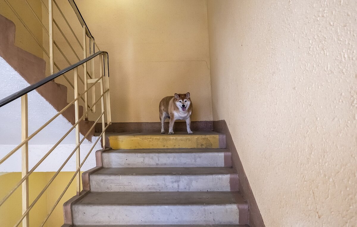 Ну, давай, старушка, спускайся! - Валерий Иванович Ну, давай, старушка, спускайся! - Валерий Иванович