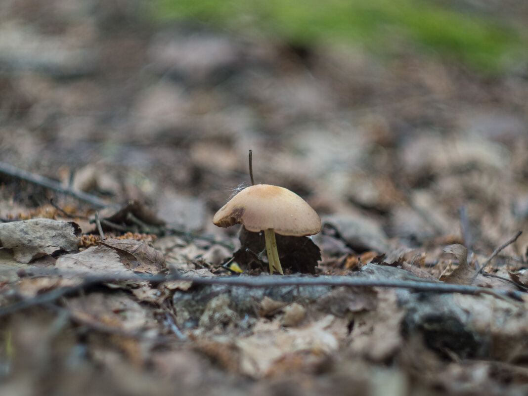 ___ - Yuriy V ___ - Yuriy V