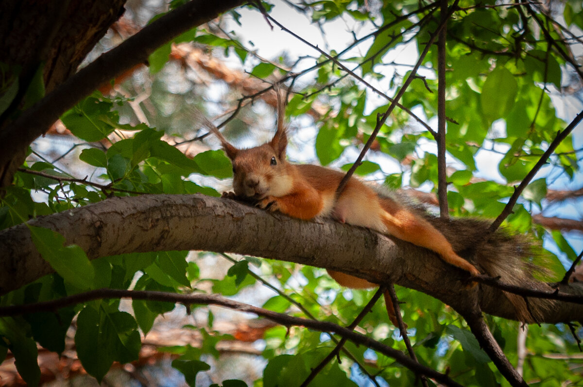 Она устала. - Prinz Eugen 