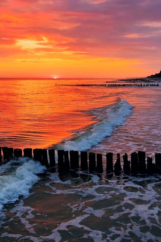 Летние утро - Юрий. Шмаков Летние утро - Юрий. Шмаков