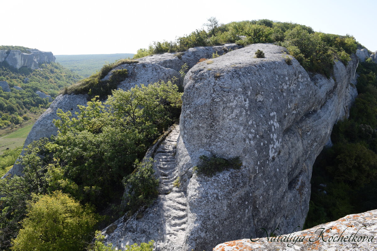 Природа Крыма - Amazing Cosmea