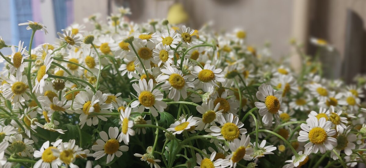 Ура, лето!! - ИРЭН@ .