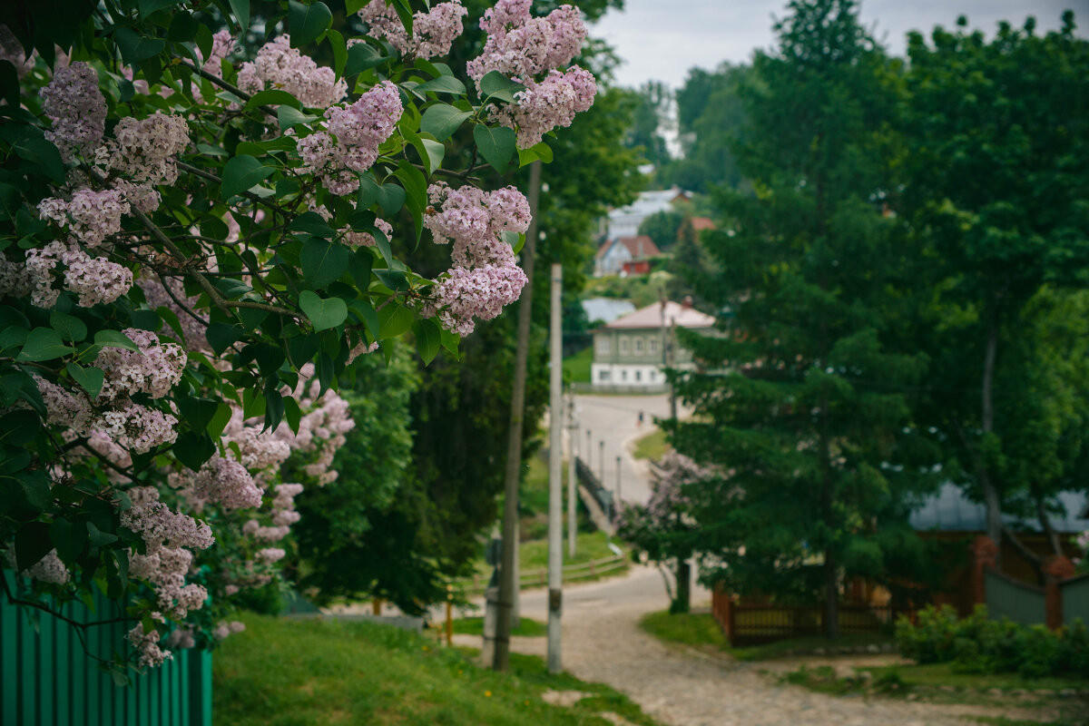 Плёс. Маленький городок на Волге. Май 2025 - Вячеслав Владимирович