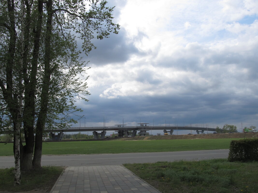 ............. - Елена Шаламова