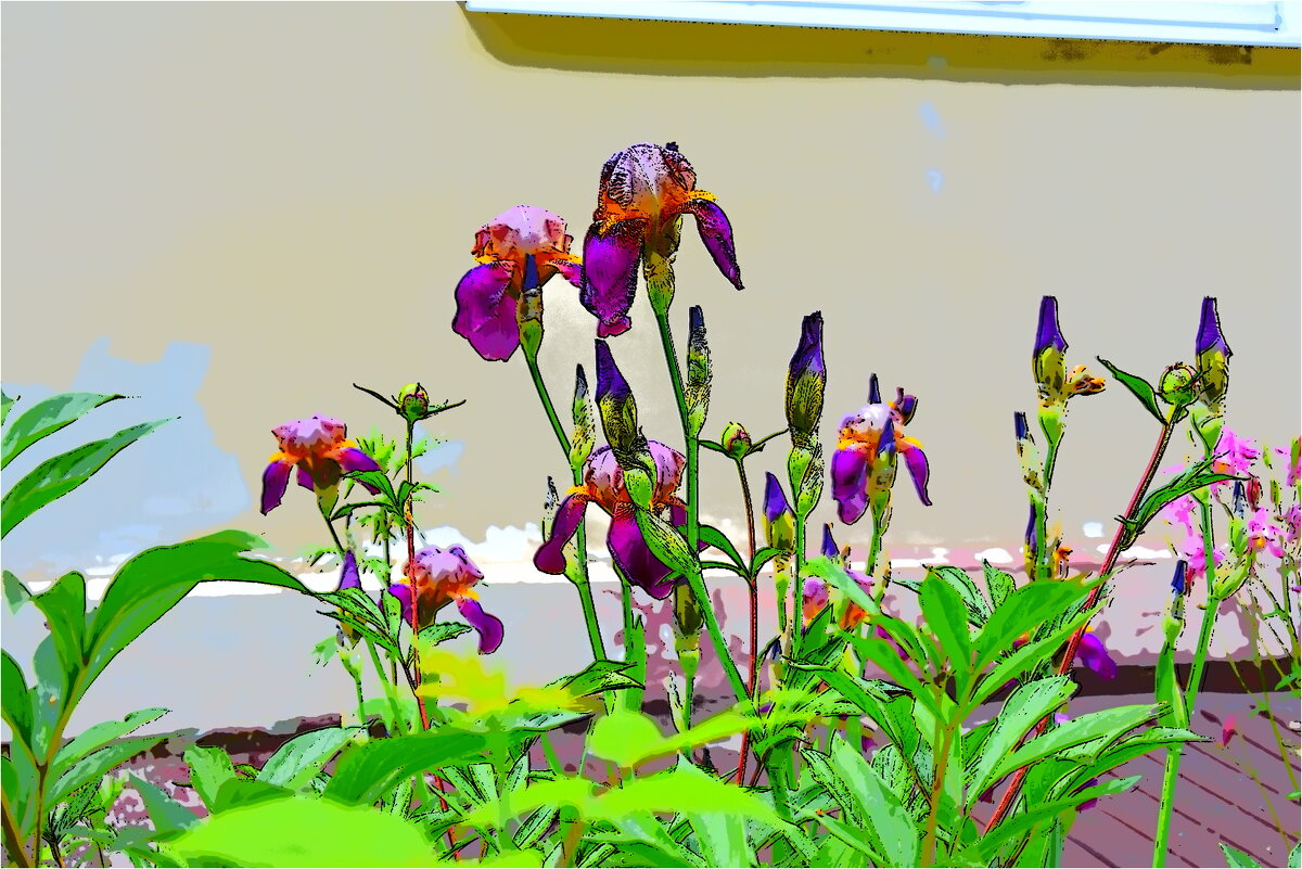 ЛЕТО - Юрий Владимирович 34