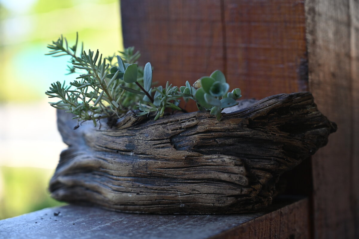 Натюпморт - redfox 