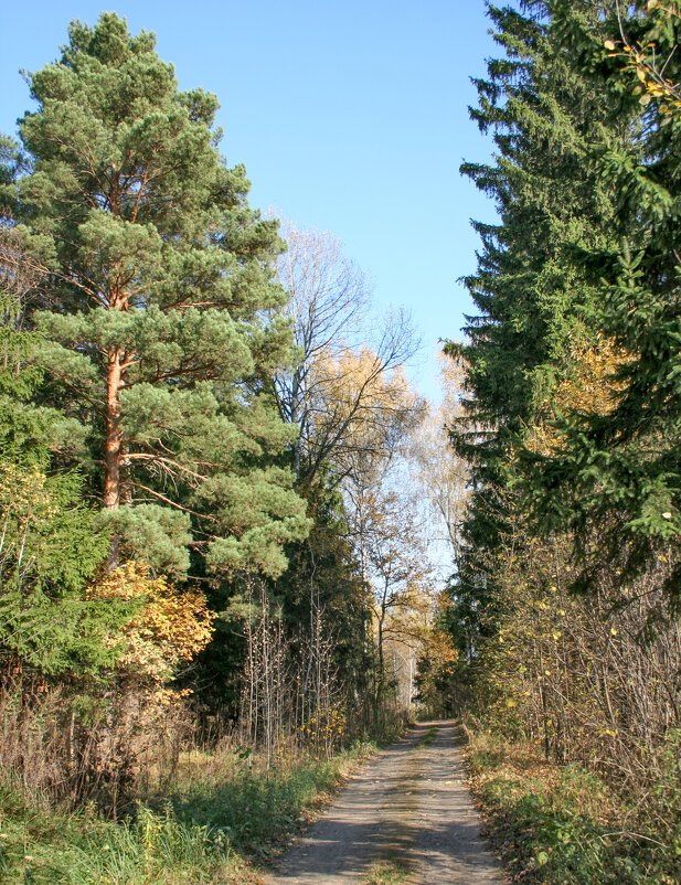 Бабье лето - Елена 