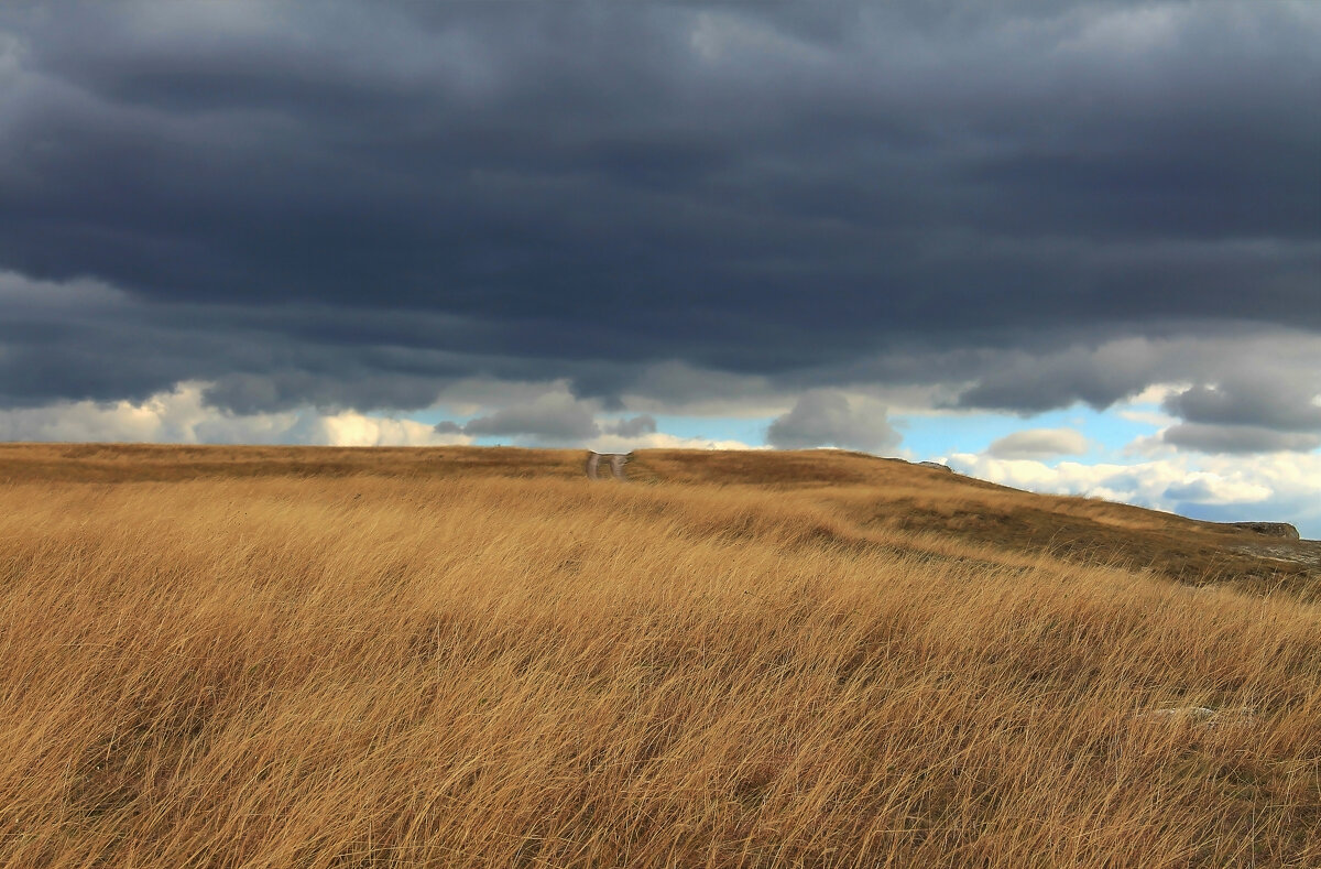 дорога - РозаВетроф дорога - РозаВетроф