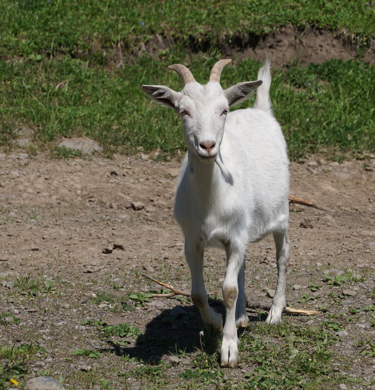 Поздравляю с началом ЛЕТА! - Наталия Григорьева