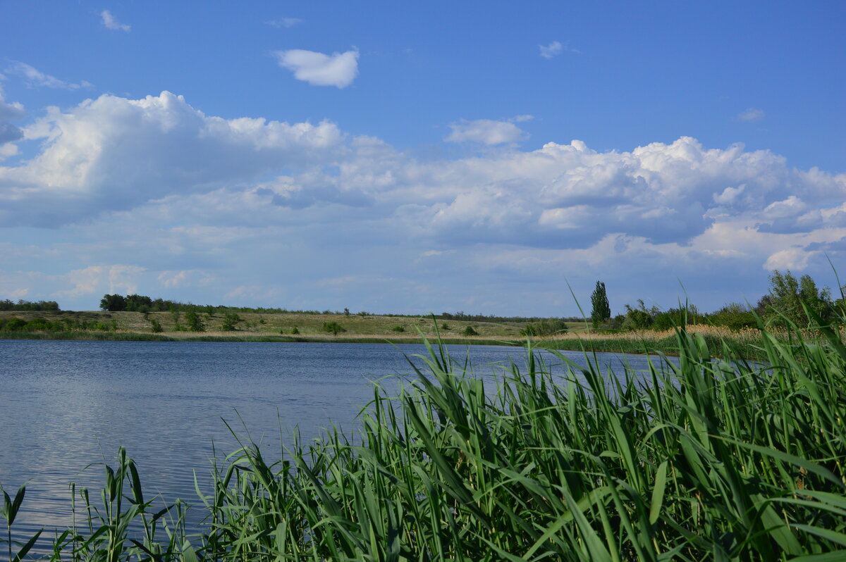 У пруда! - Виктор 