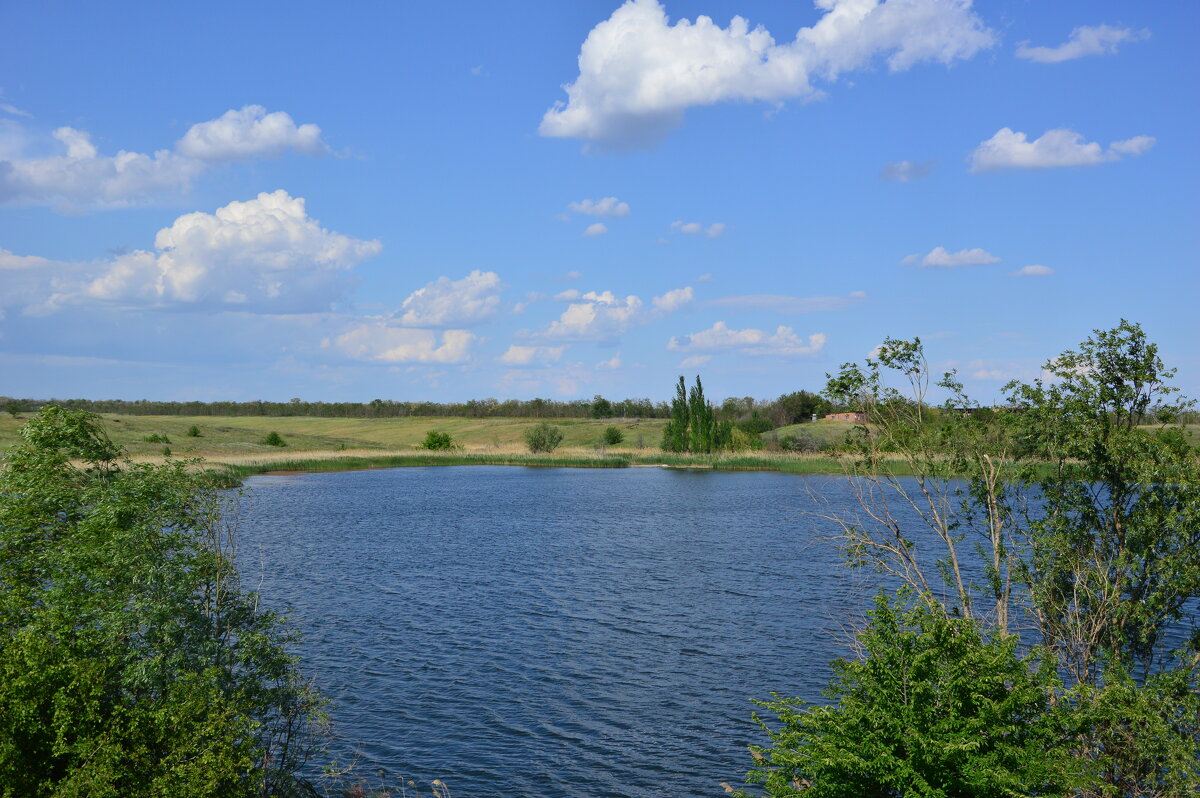 Пруд местный. - Виктор 