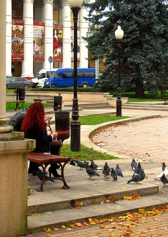 Любовь и голуби - Сергей Карачин