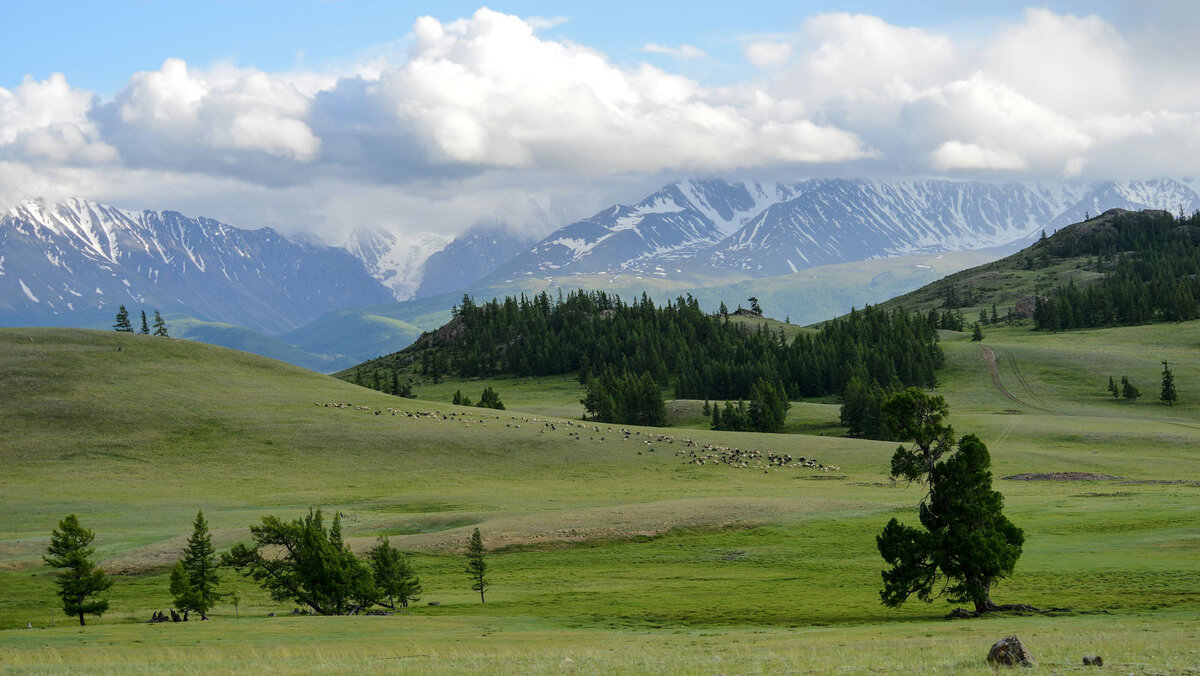 *** - владимир 