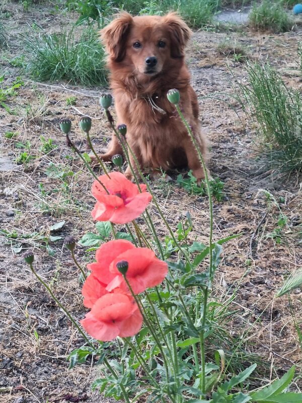 Шум на улице... - Наталья Шум на улице... - Наталья