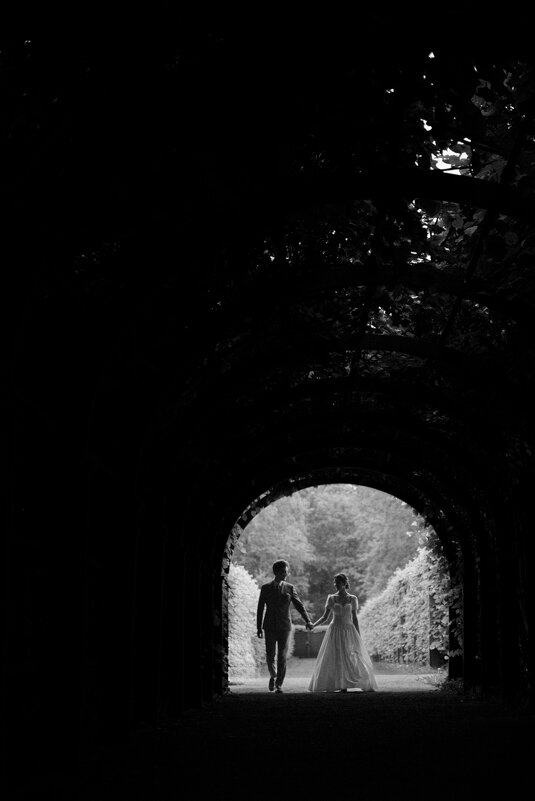 Силуэт - Artak 