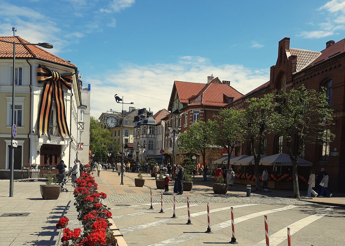 городской проспект - Ольга 