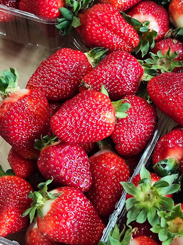 *** - Алексей Архипов