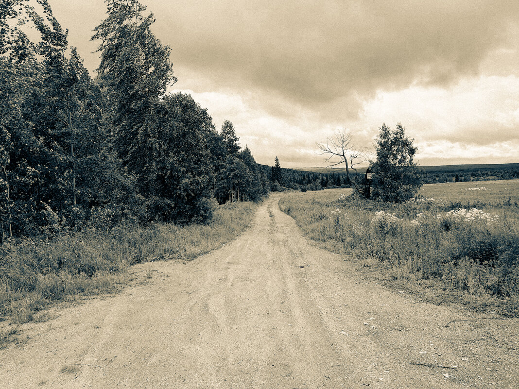 Черно белое - minua83 киракосян